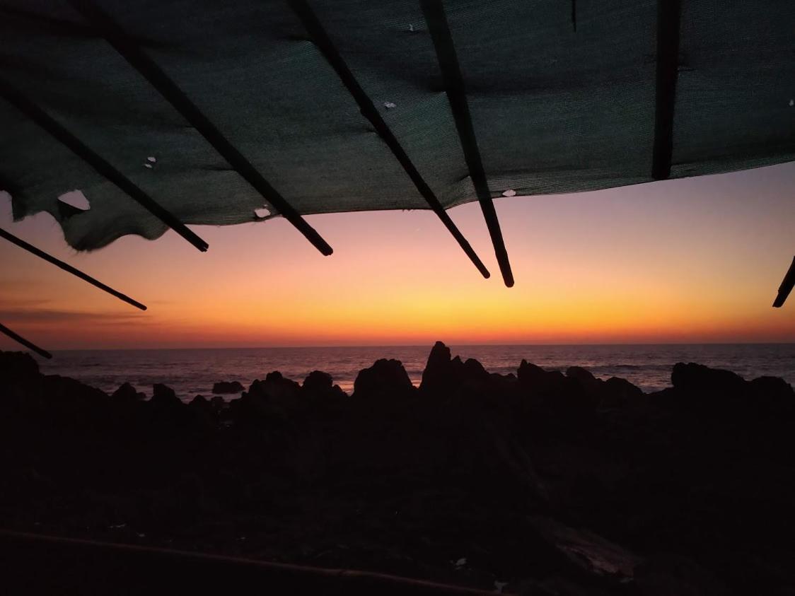 21Coconuts Inn Arambol Exterior photo